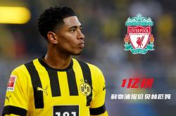 开云体育官方网站-利物浦惊险击败多特蒙德，晋级四强